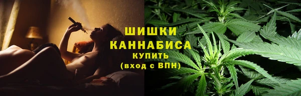 кокс Богородицк