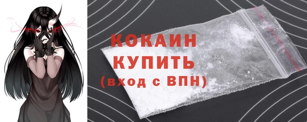 кокс Богородицк