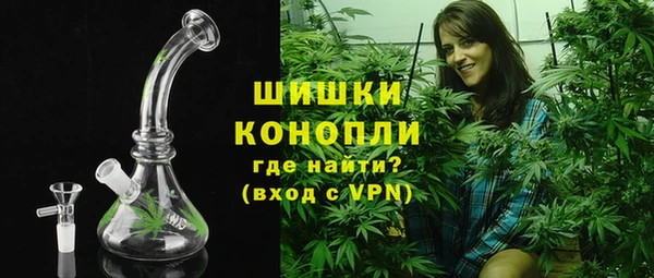 крисы Богородск